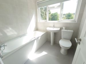 Photo 12- click for photo gallery